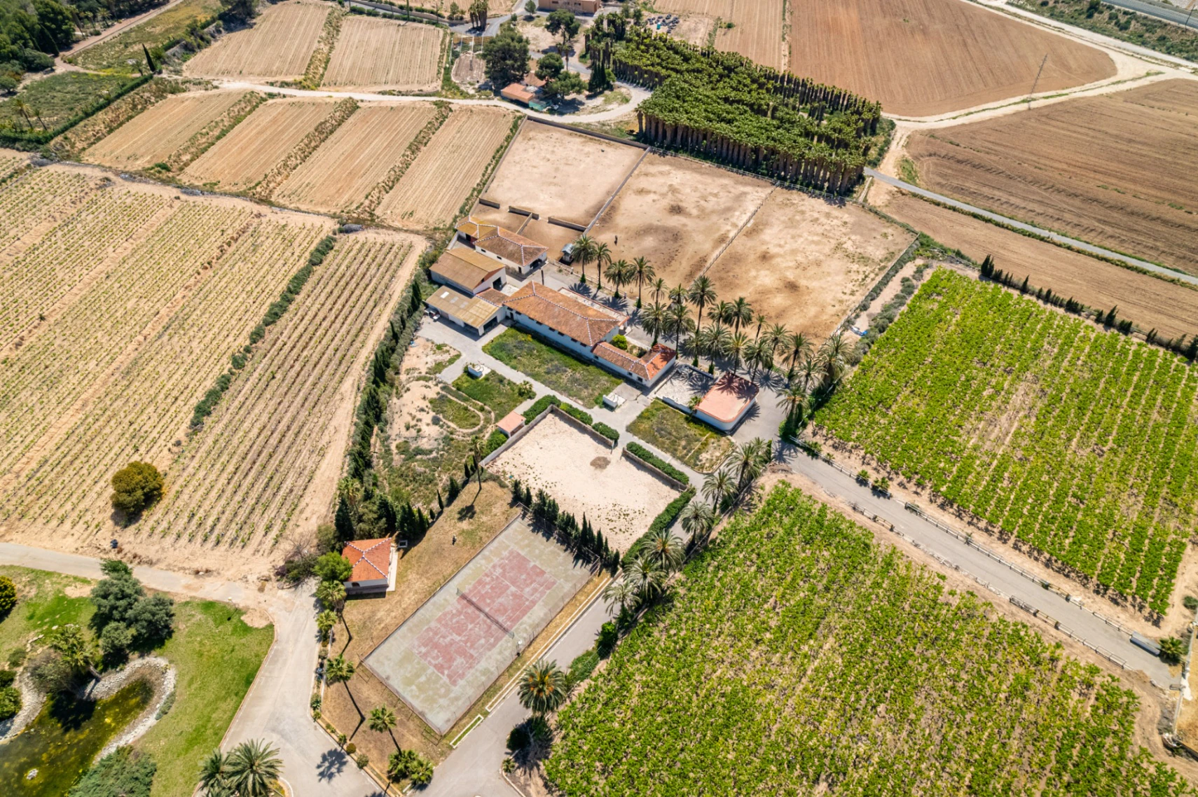 Exclusive Mediterranean Estate with Vineyards and Lakes for sale in Novelda