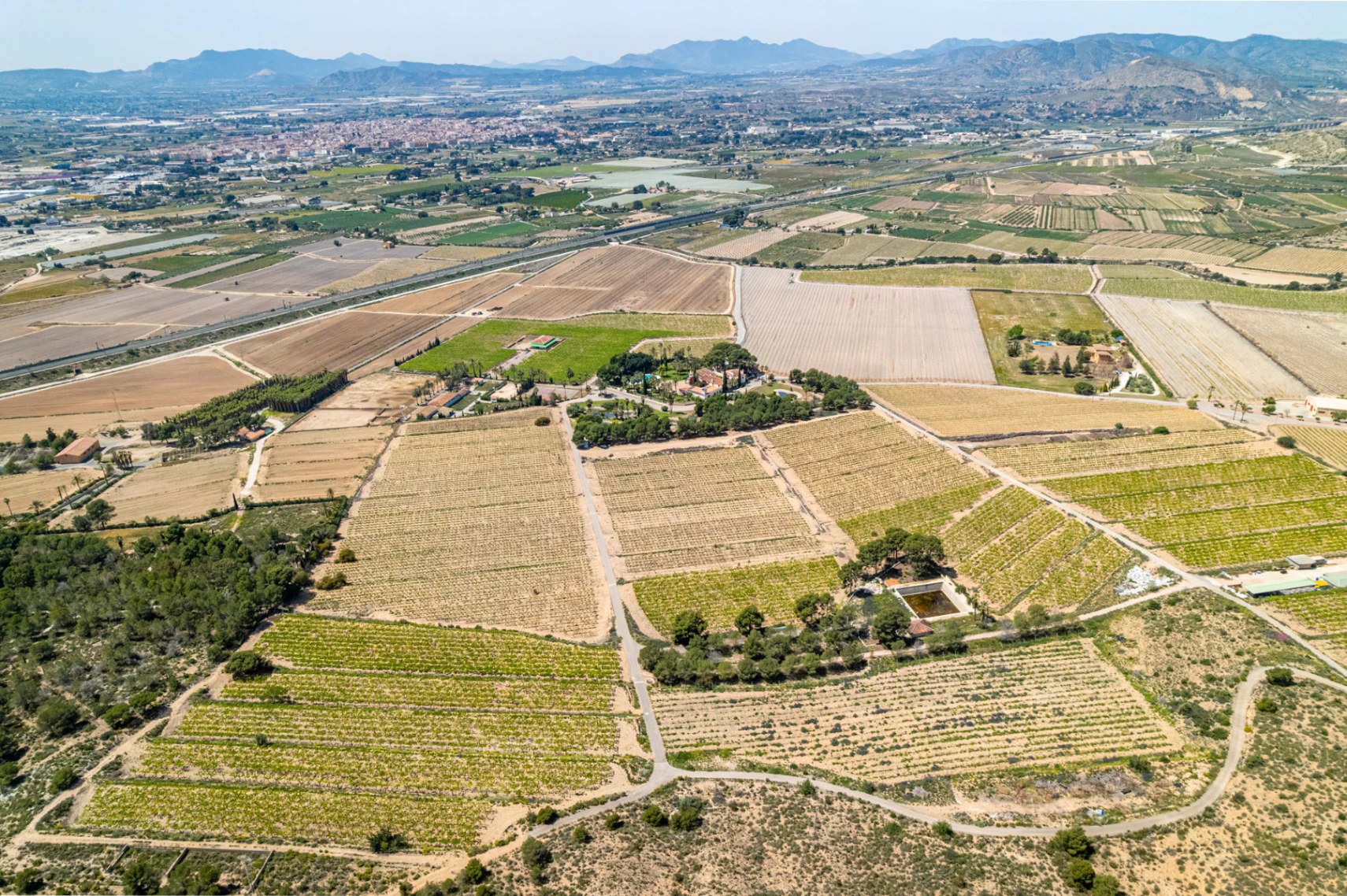 Exclusive Mediterranean Estate with Vineyards and Lakes for sale in Novelda