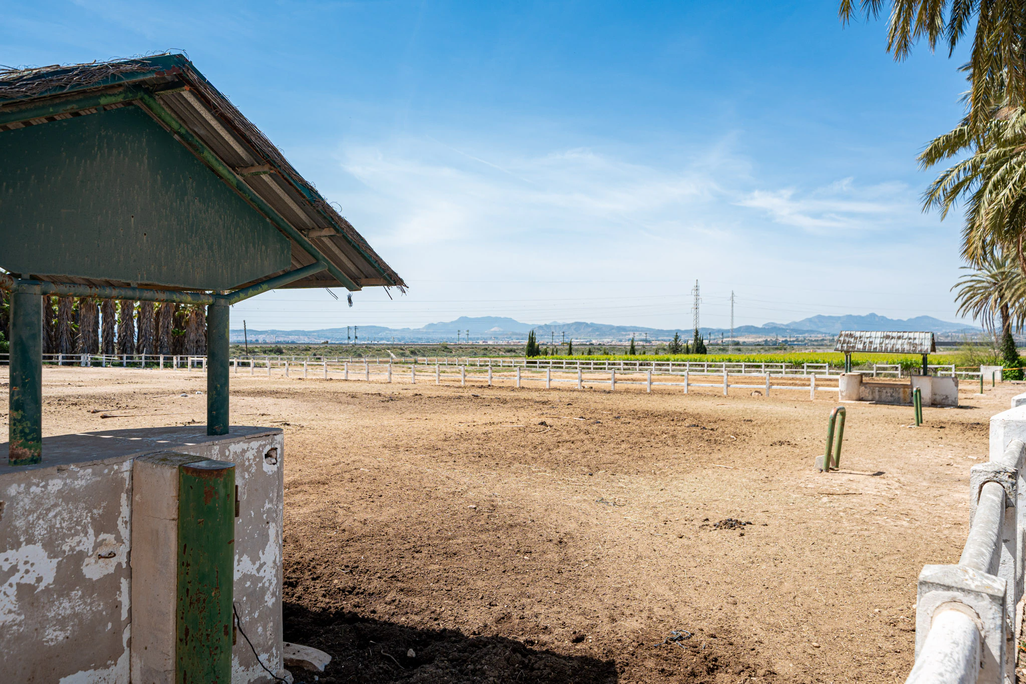 Exclusive Mediterranean Estate with Vineyards and Lakes for sale in Novelda