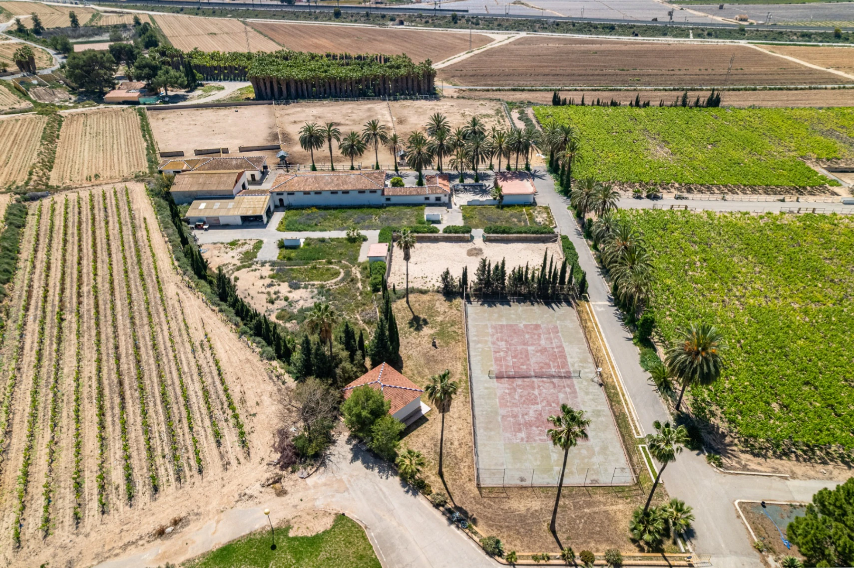 Exclusive Mediterranean Estate with Vineyards and Lakes for sale in Novelda