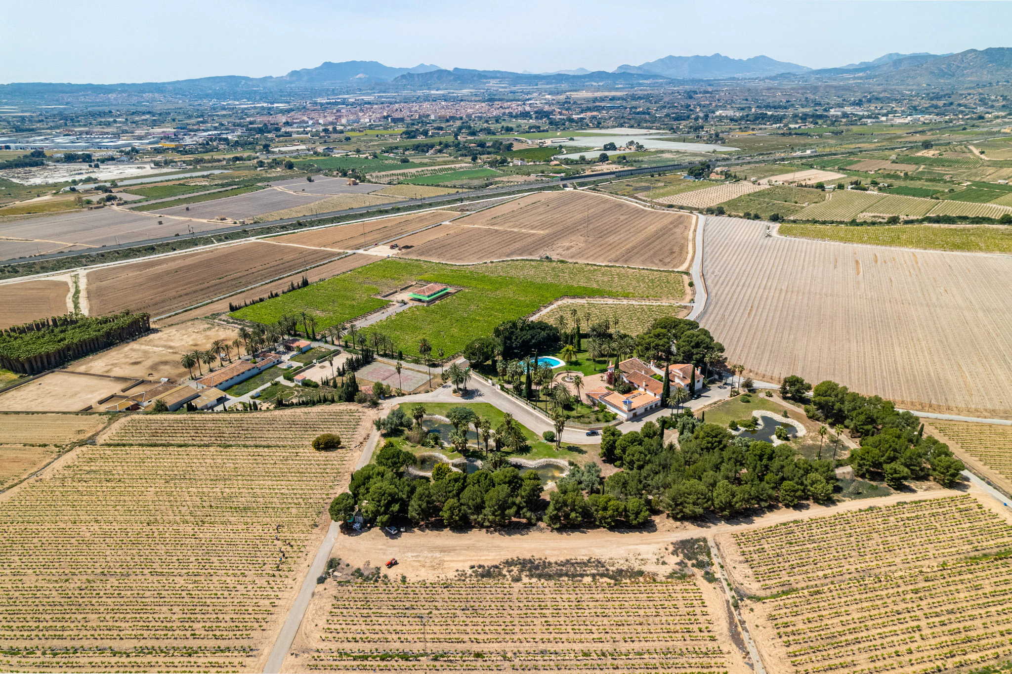 Exclusive Mediterranean Estate with Vineyards and Lakes for sale in Novelda