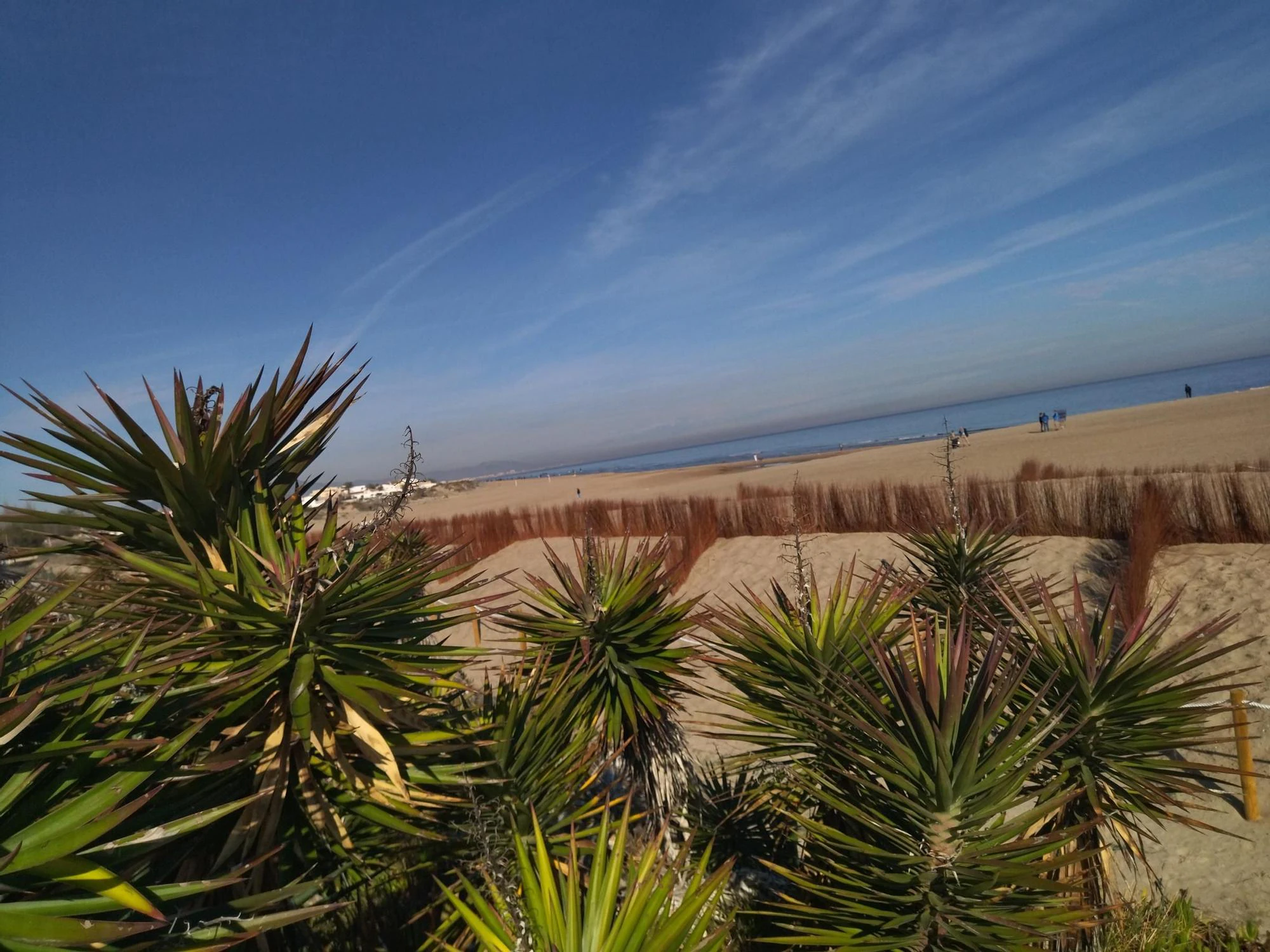 Mediterranean Oasis: Luxury Homes Steps from the Sea in Dénia