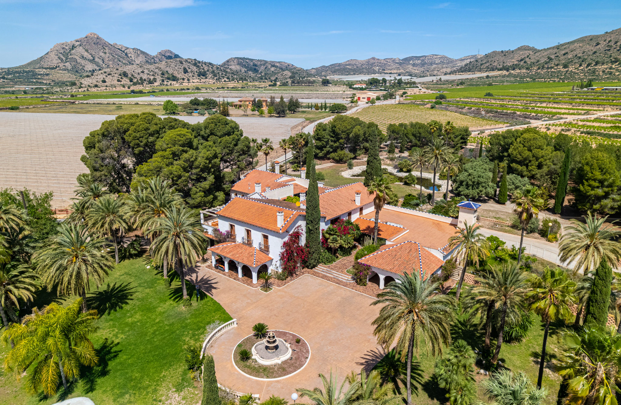 Exclusive Mediterranean Estate with Vineyards and Lakes for sale in Novelda