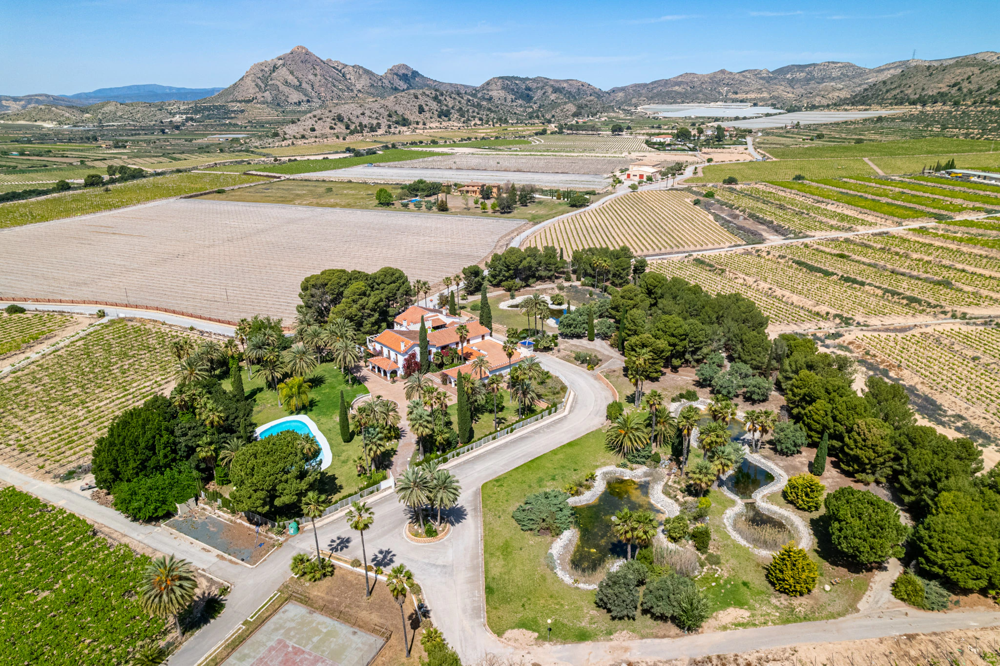 Exclusive Mediterranean Estate with Vineyards and Lakes for sale in Novelda
