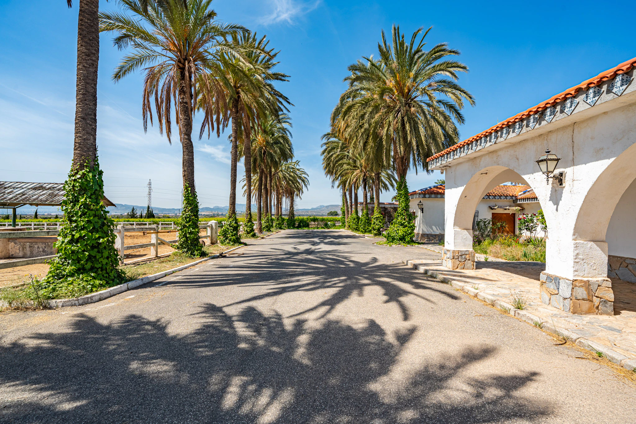 Exclusive Mediterranean Estate with Vineyards and Lakes for sale in Novelda