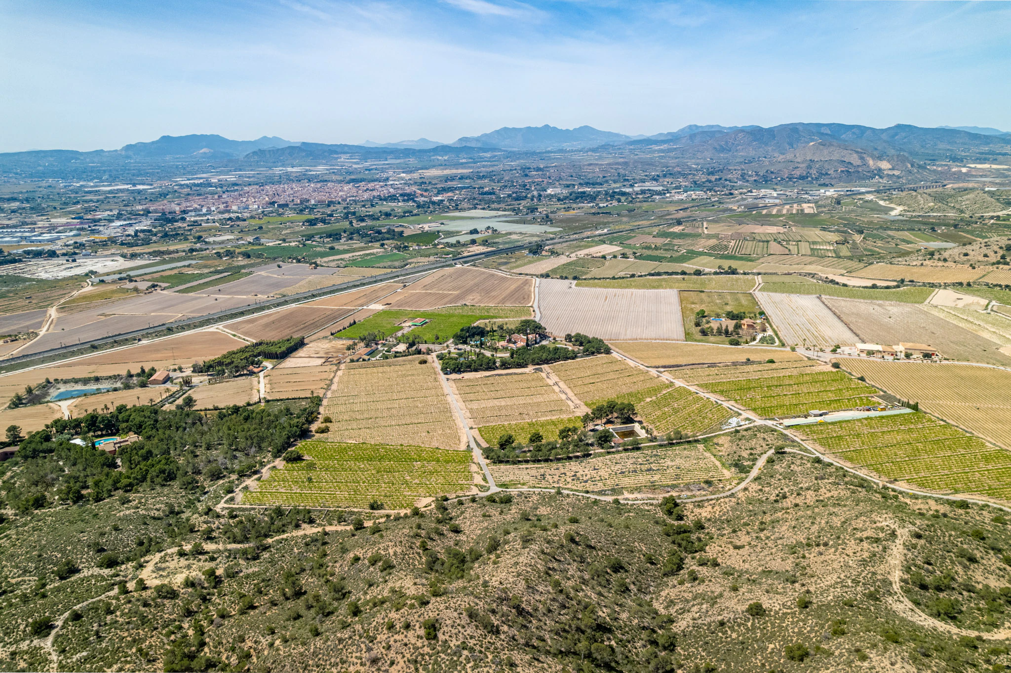 Exclusive Mediterranean Estate with Vineyards and Lakes for sale in Novelda