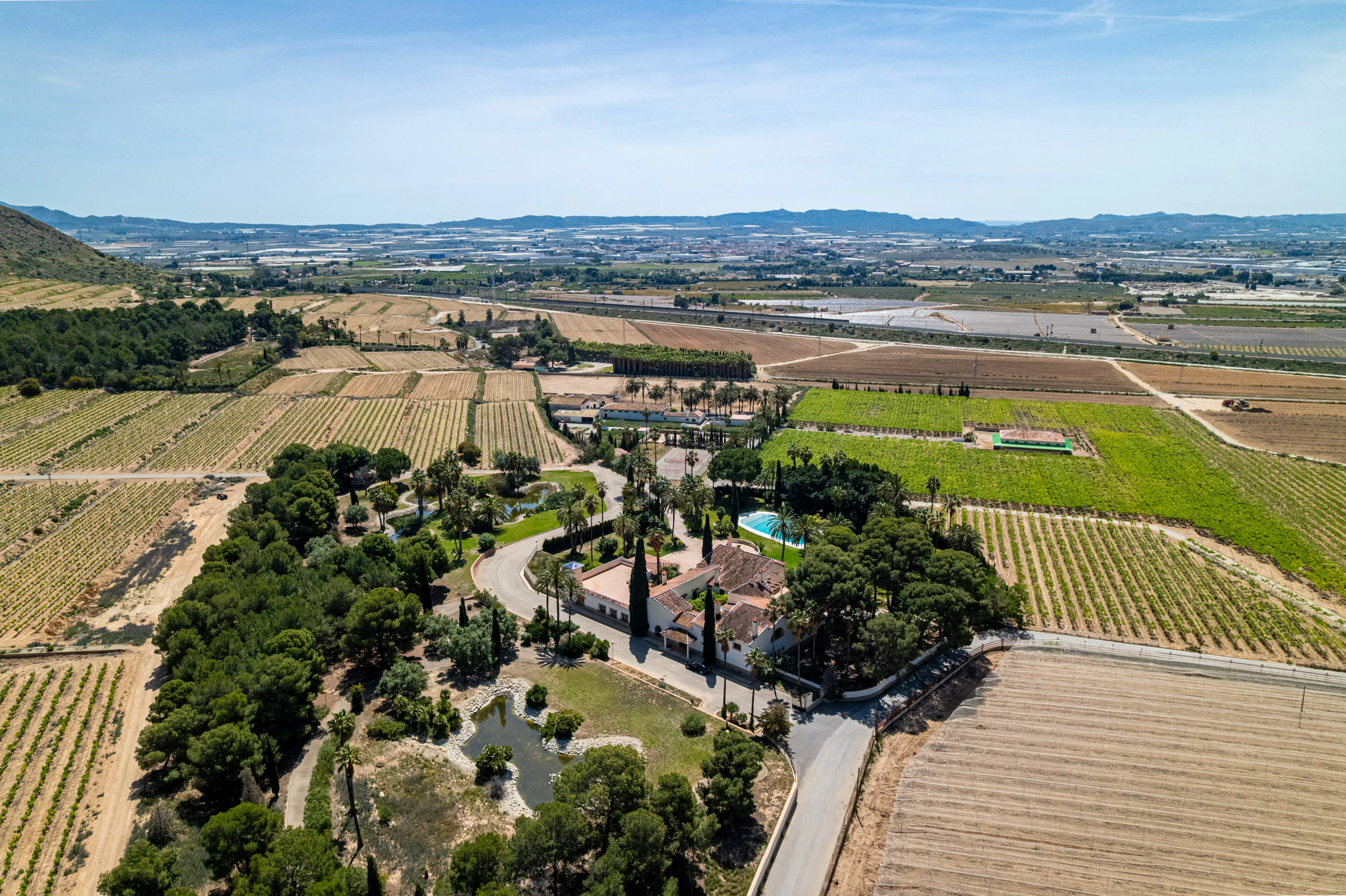 Exclusive Mediterranean Estate with Vineyards and Lakes for sale in Novelda