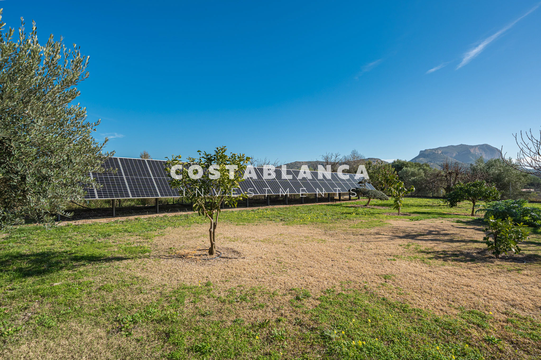Fully Modernized Luxury Villa with Guest Apartment and Solar Energy for sale in Denia