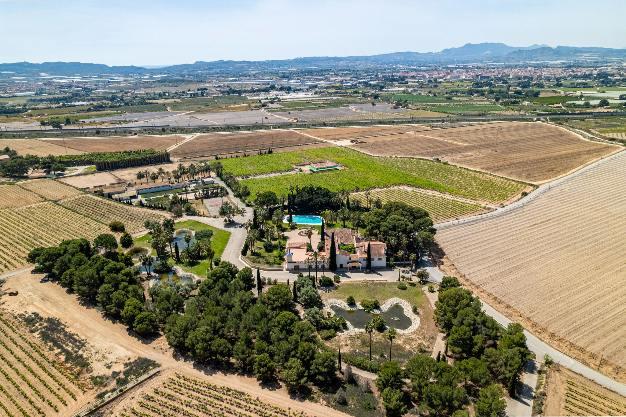 Exclusive Mediterranean Estate with Vineyards and Lakes for sale in Novelda
