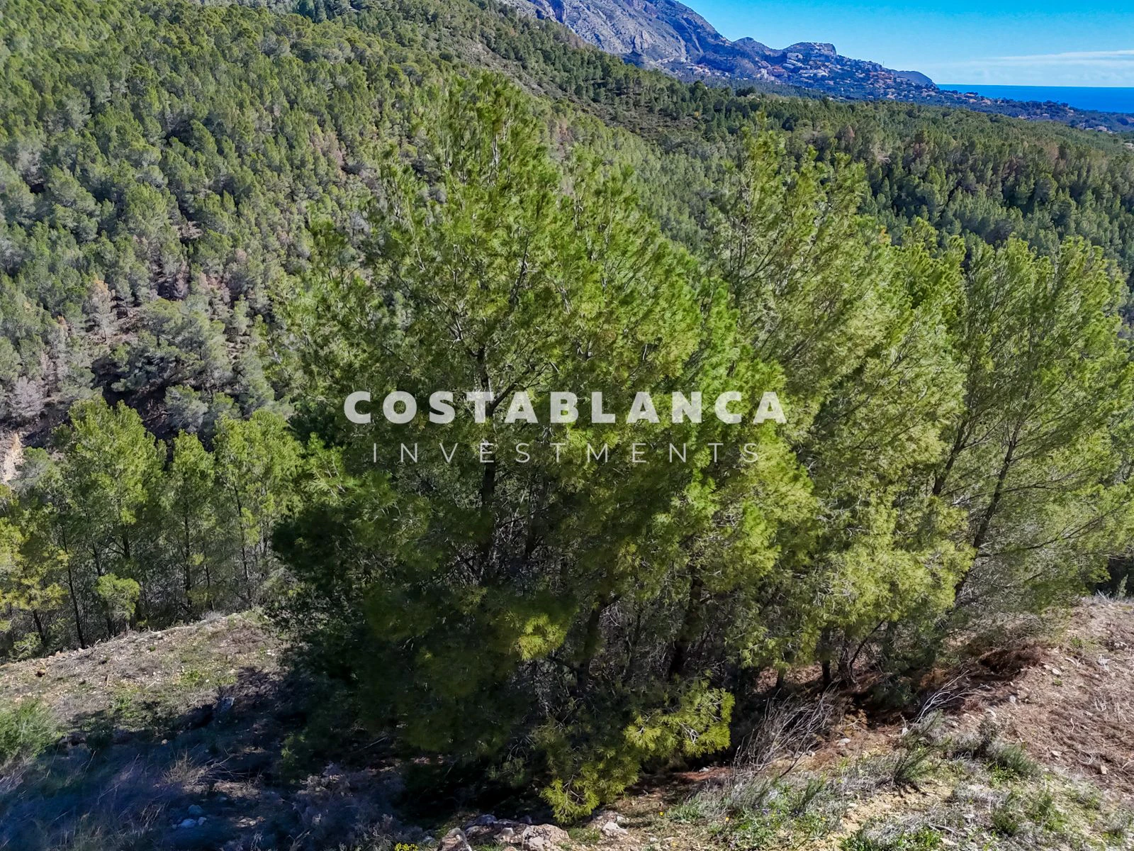 Large Building Plot with Sea & Mountain Views in Sierra de Altea