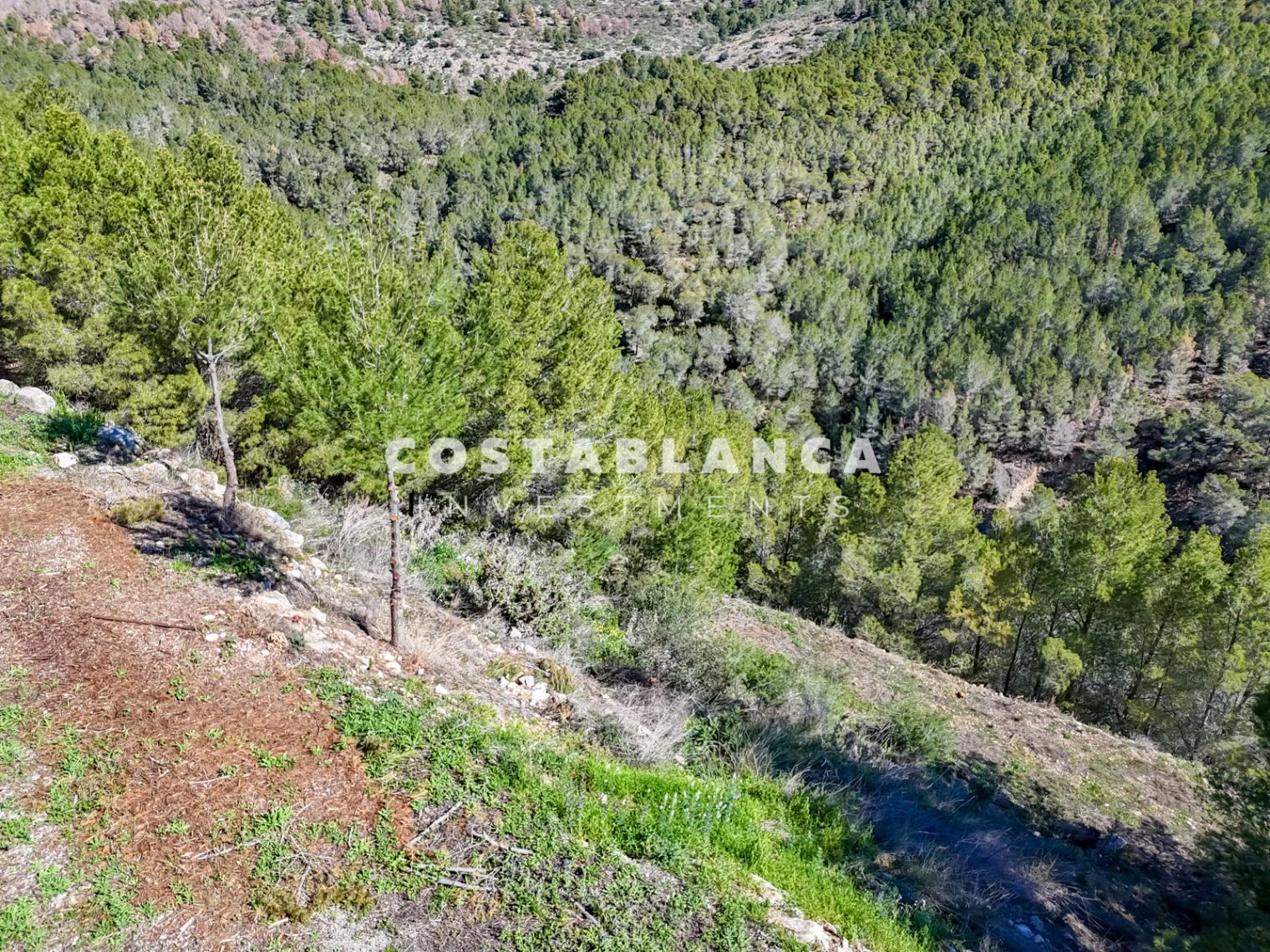 Large Building Plot with Sea & Mountain Views in Sierra de Altea