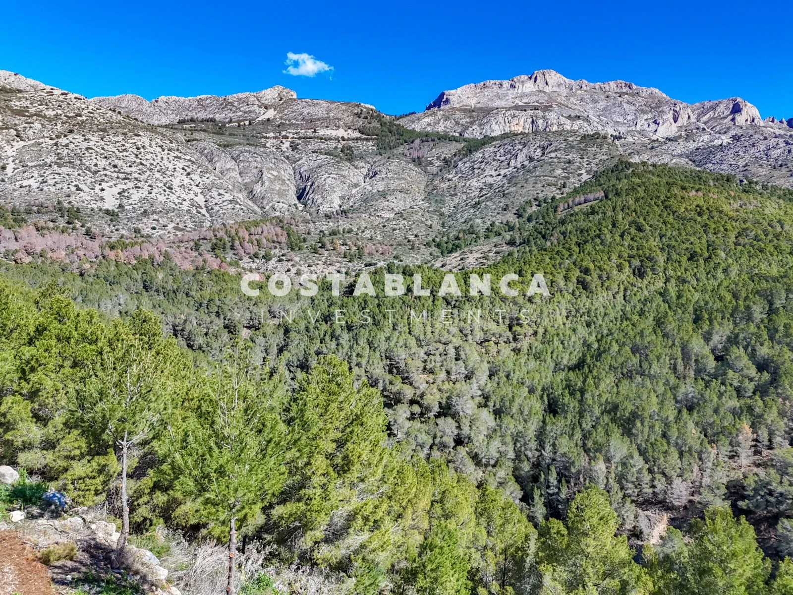 Large Building Plot with Sea & Mountain Views in Sierra de Altea