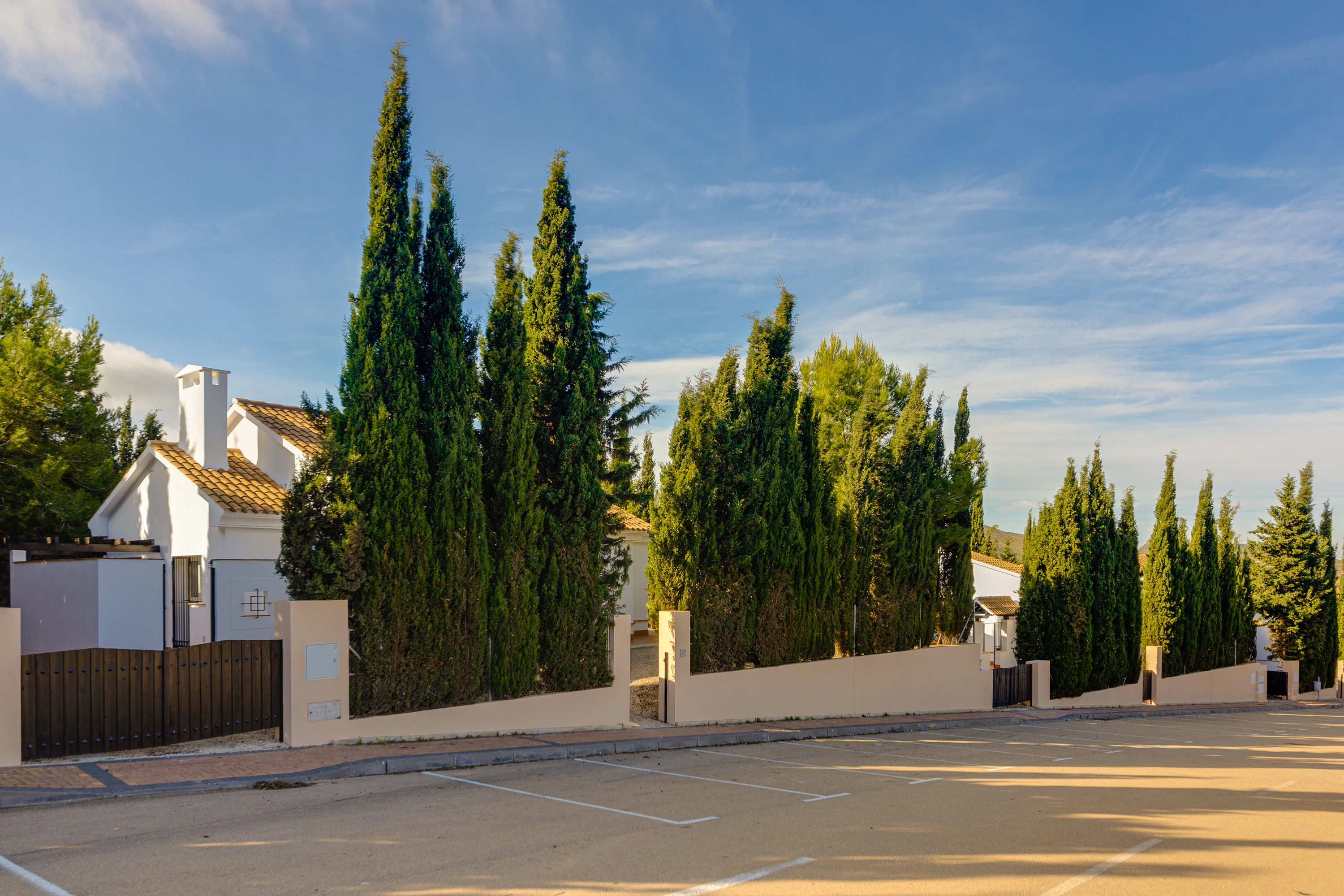 Villa for sale in Fuente Alamo