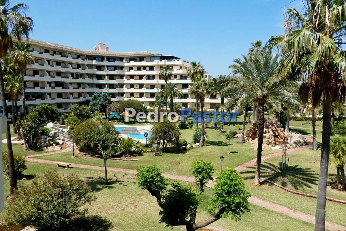Alquiler apartamento Urbanización Playa Grande