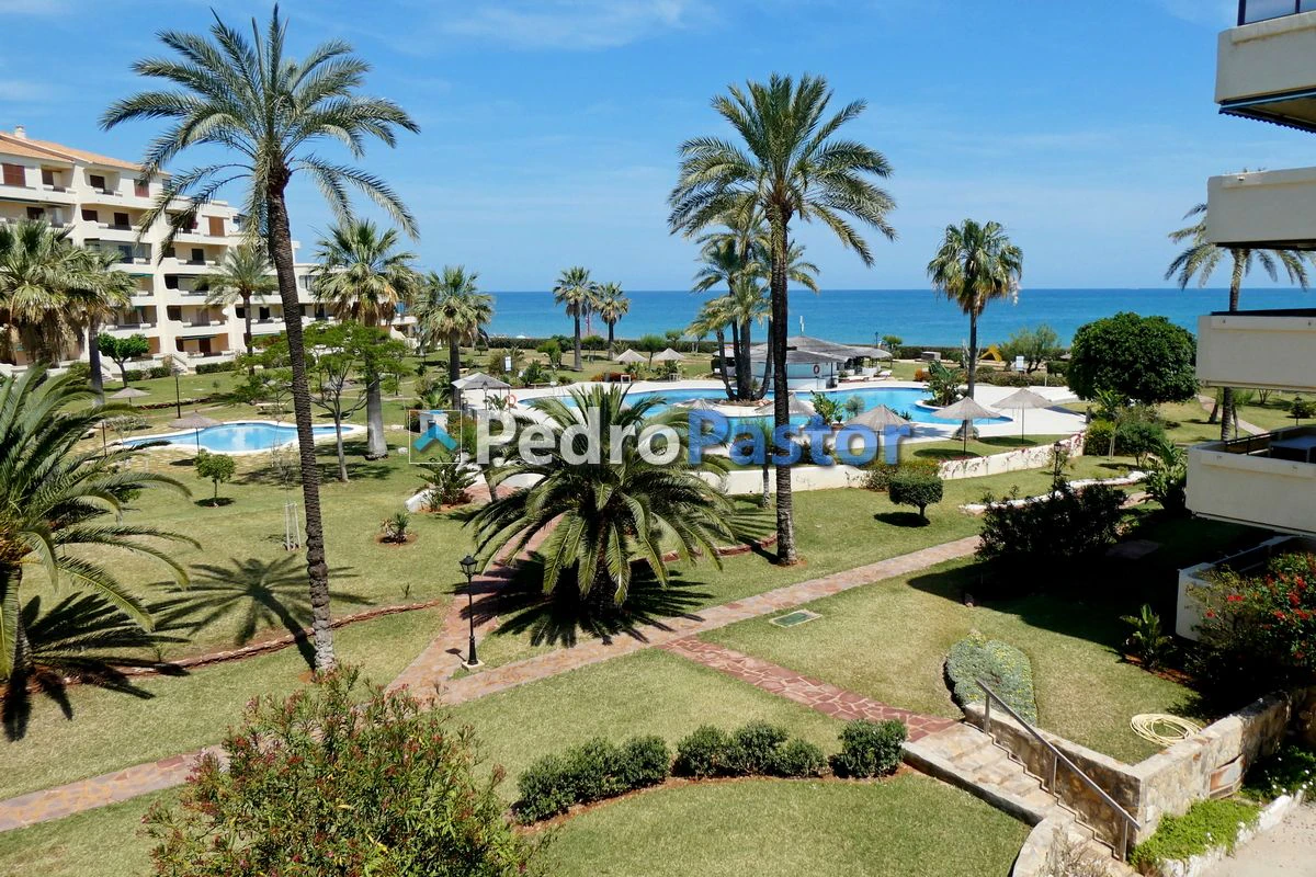 Alquiler apartamento Urbanización Playa Grande