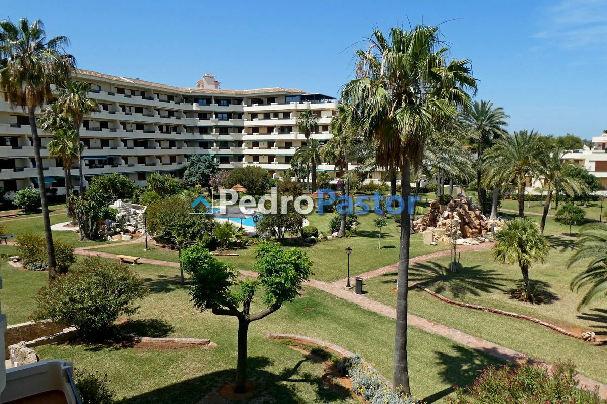 Alquiler apartamento Urbanización Playa Grande