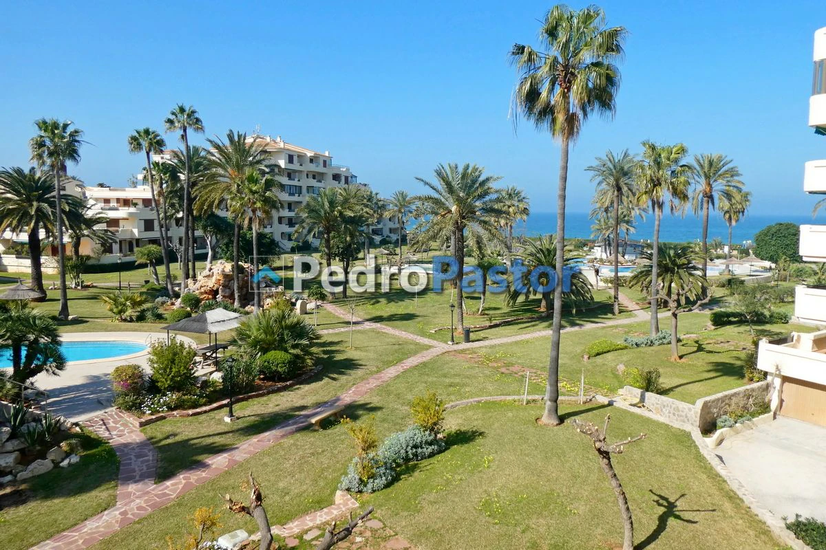 Alquiler apartamento Urbanización Playa Grande