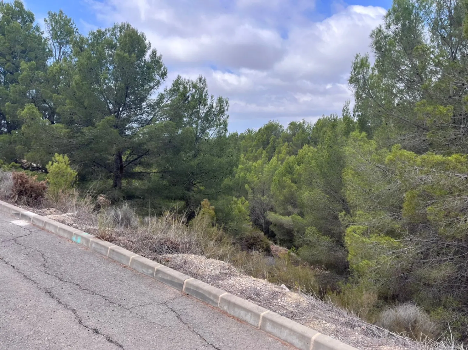 Plot for sale in Callosa De Ensarriá