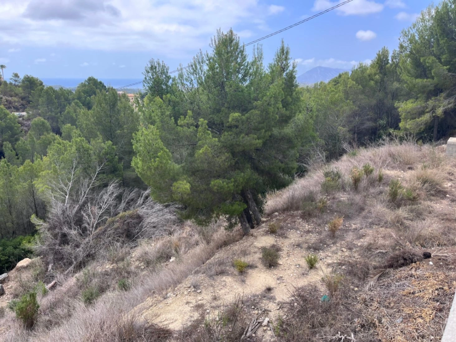 Plot for sale in Callosa De Ensarriá