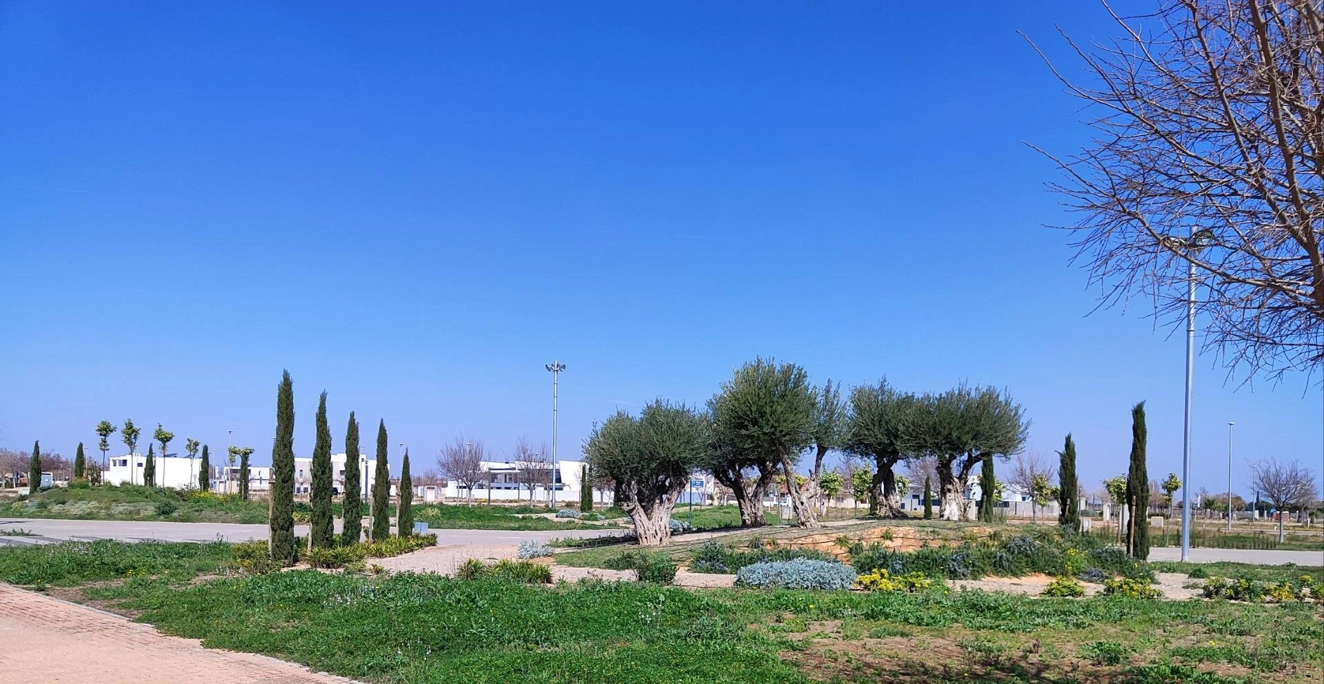 Apartment for sale in Torre Pacheco