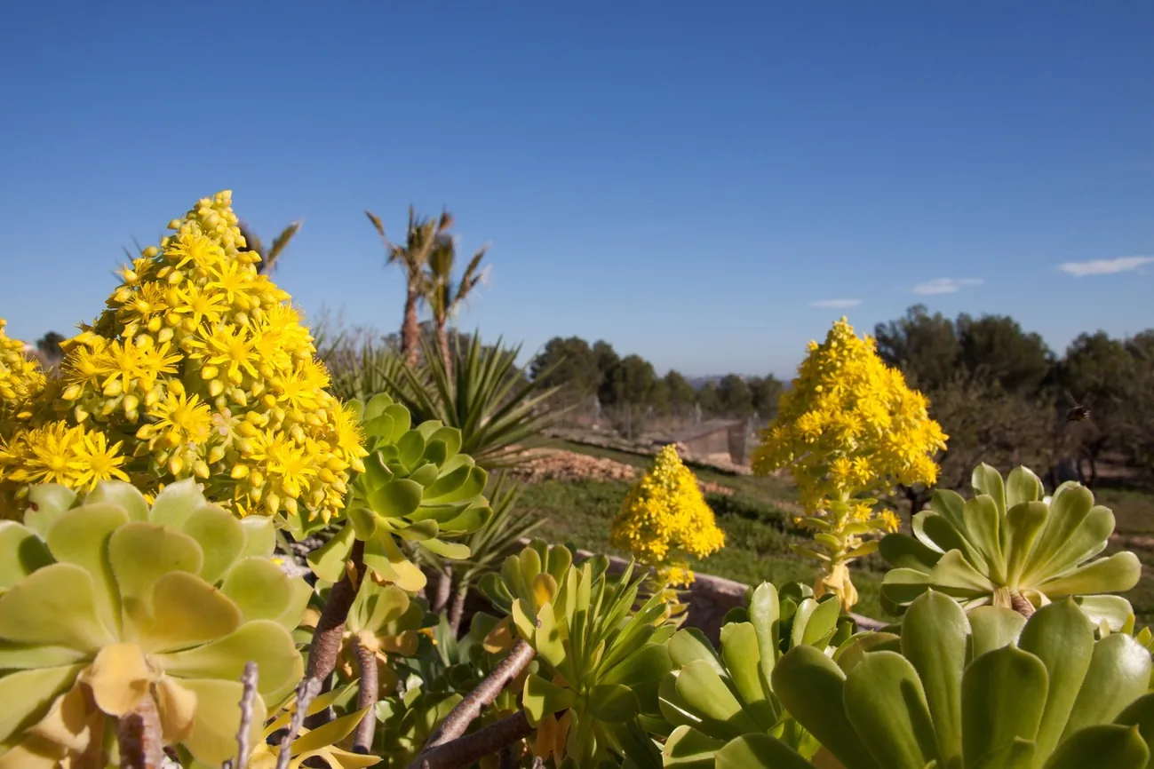 Country house for sale in Benissa