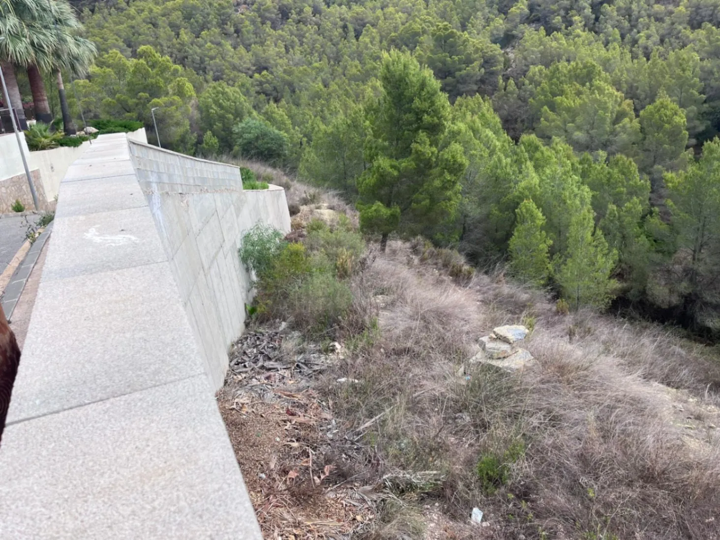 Plot for sale in Callosa De Ensarriá