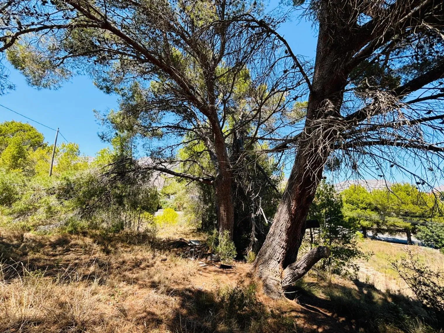 Rustic property to be completely renovated in Altea La Vella