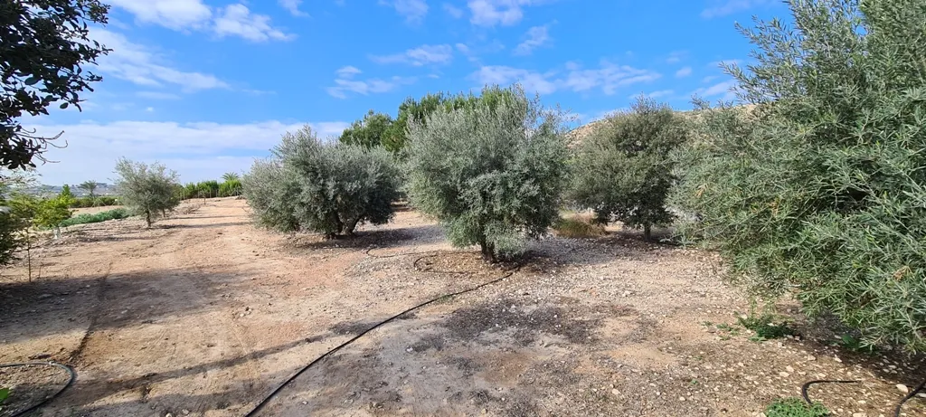 Villa for sale in Orihuela