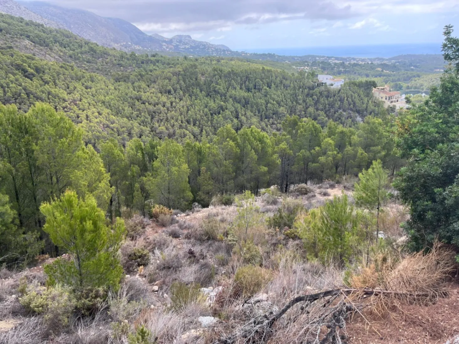 Plot for sale in Callosa De Ensarriá