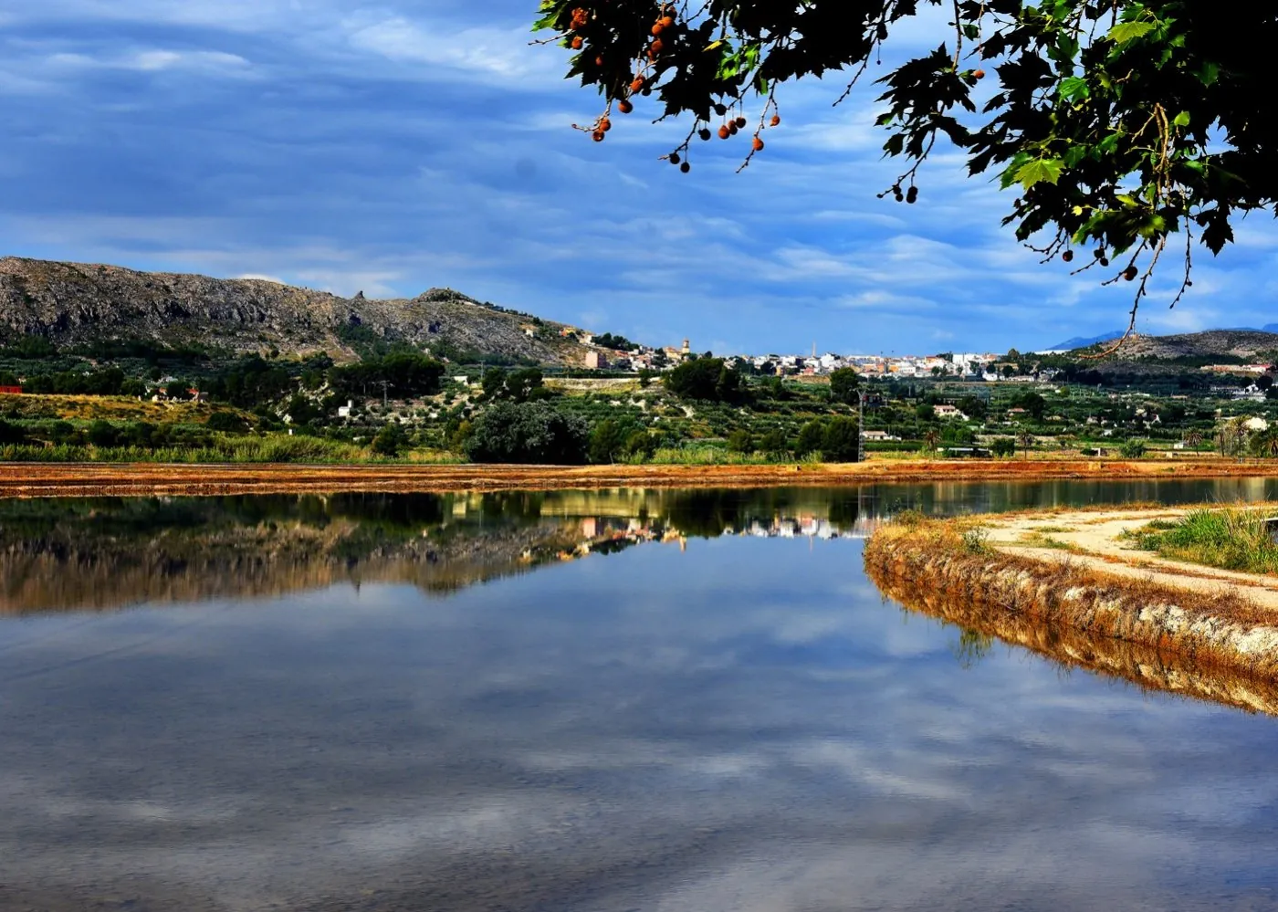 Villa te verkoop in Calasparra