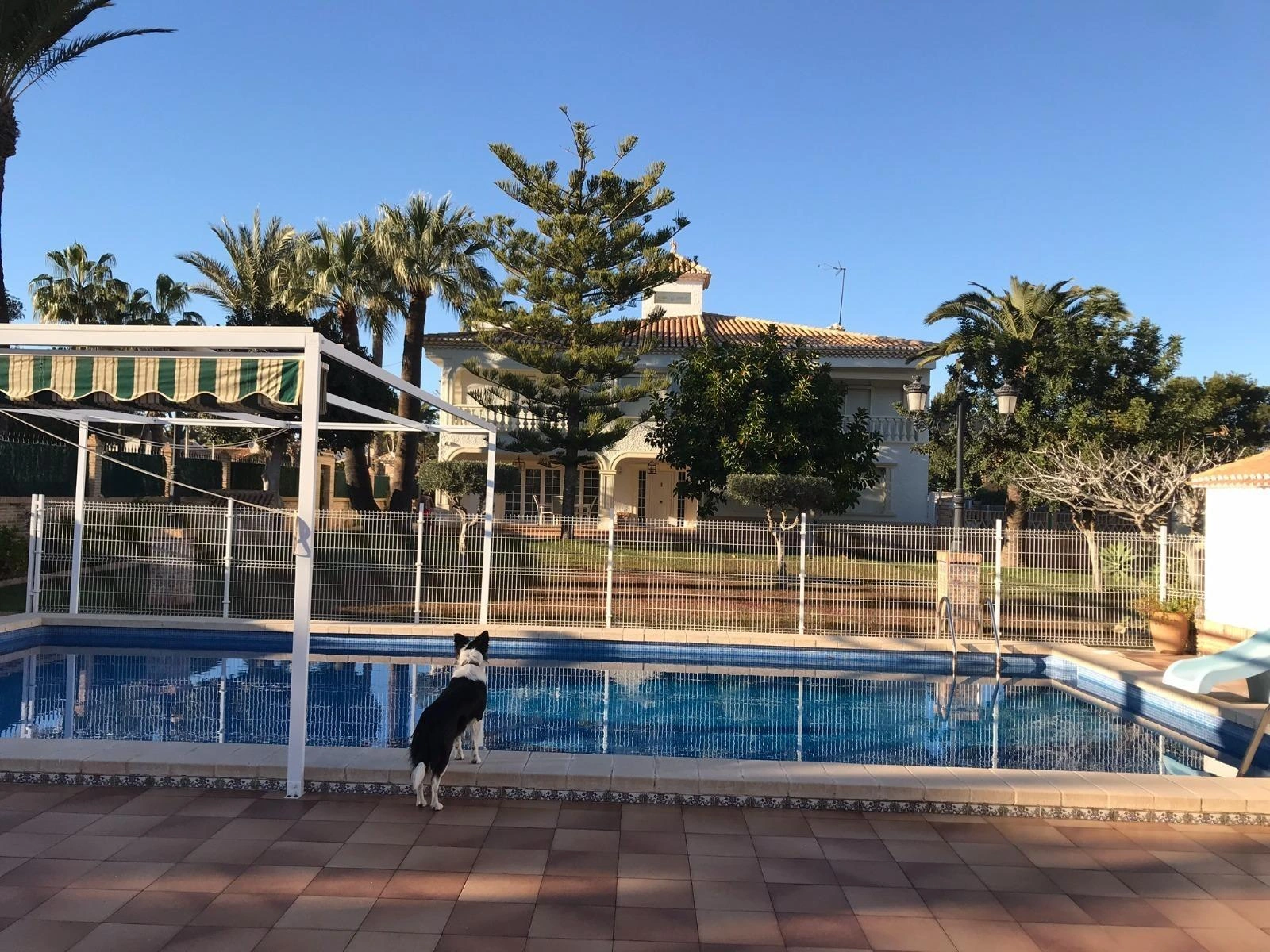 Villa for sale in Orihuela Costa
