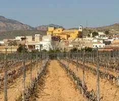 Terraced house for sale in Hondón De Las Nieves