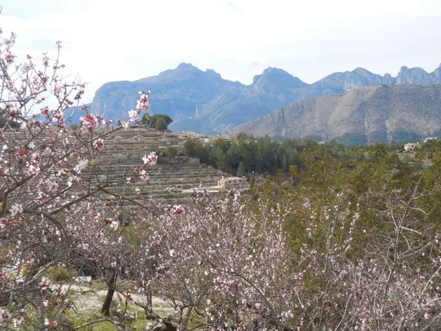 Finca for sale on the Costa Blanca North - Tárbena.
