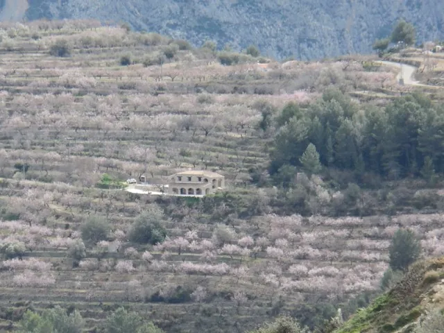 Finca for sale on the Costa Blanca North - Tárbena.
