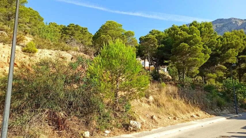 Building plot Altea, Monterico, for sale.Beautiful wide building plot with sea views