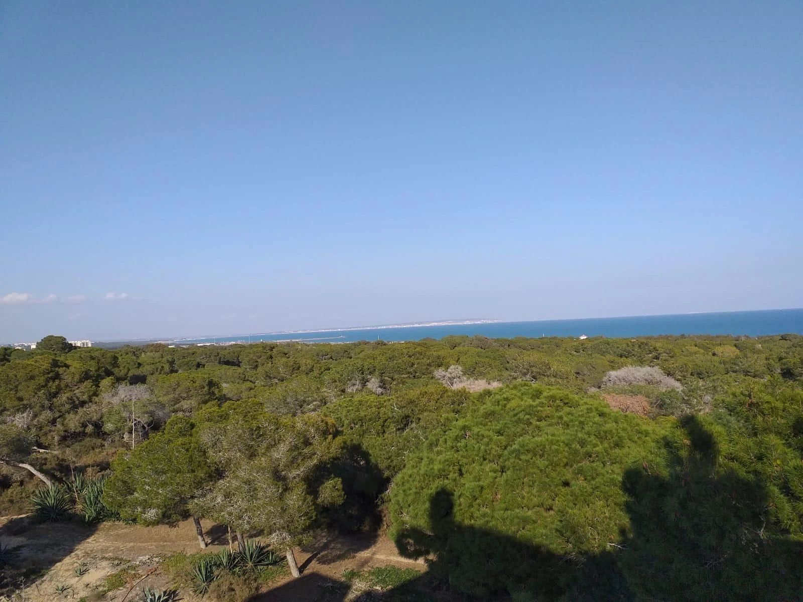 Appartamento in vendita a Guardamar Del Segura