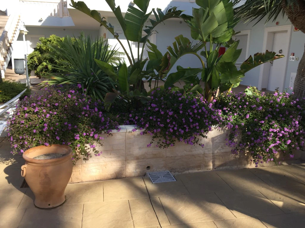 APARTMENT IN LA FUSTERA, BENISSA FOR SALE.