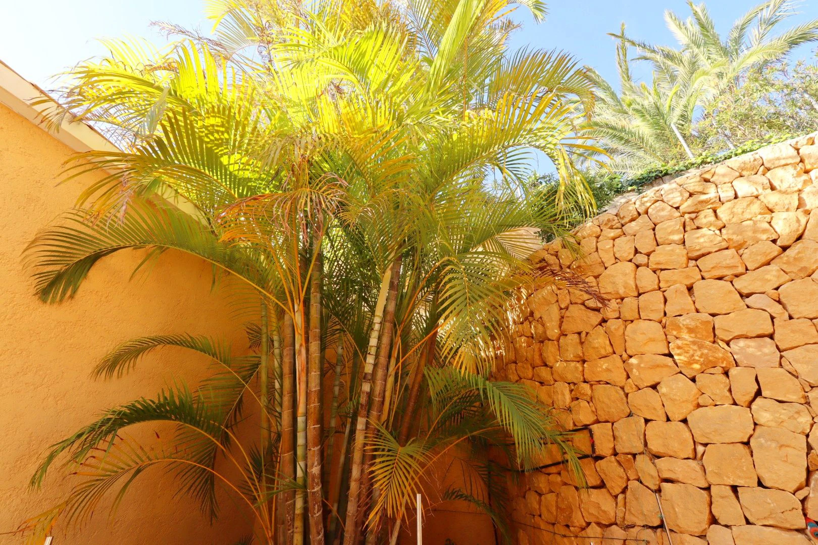 Exclusive villa in Altea