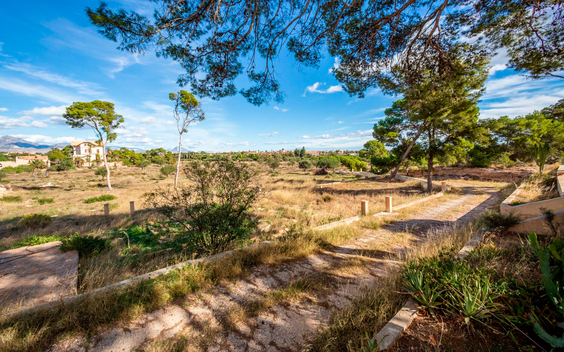Villa til salg i Alicante