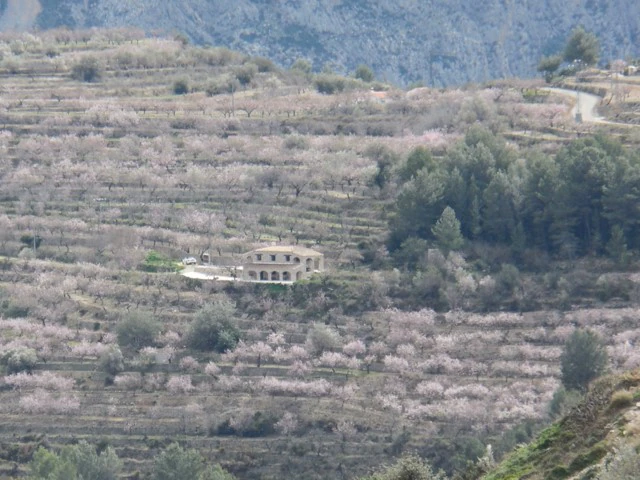 Finca for sale on the Costa Blanca North - Tárbena.