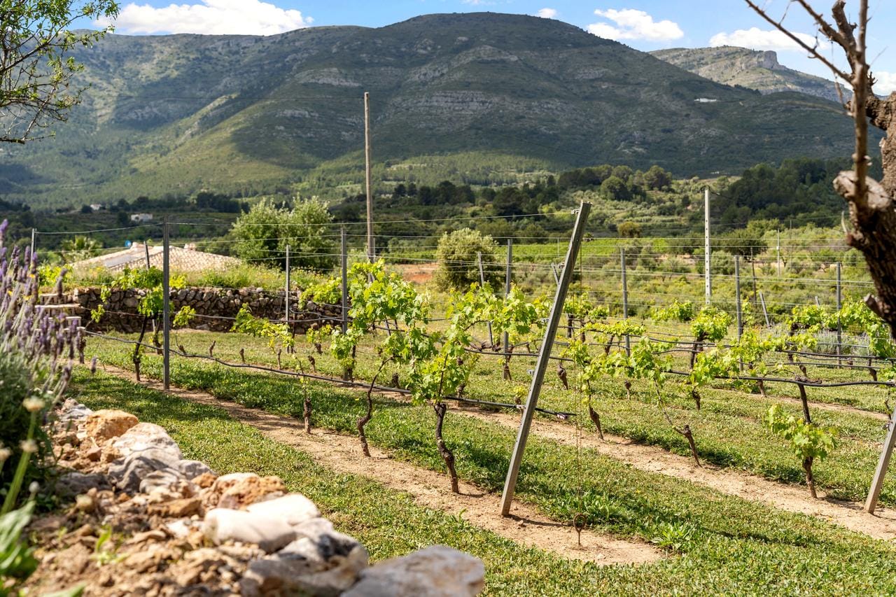 Finca in Sale in Murla