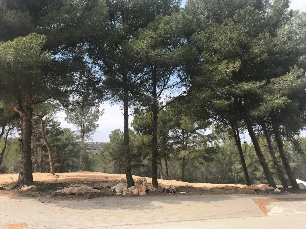 BV-56707 - Flat plot for sale in Moraira