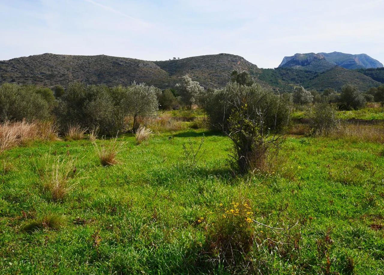 Plot in Sale in La Sella Golf Resort