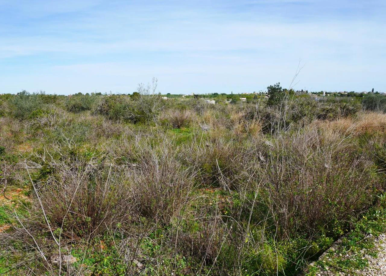 Plot in Sale in La Sella Golf Resort