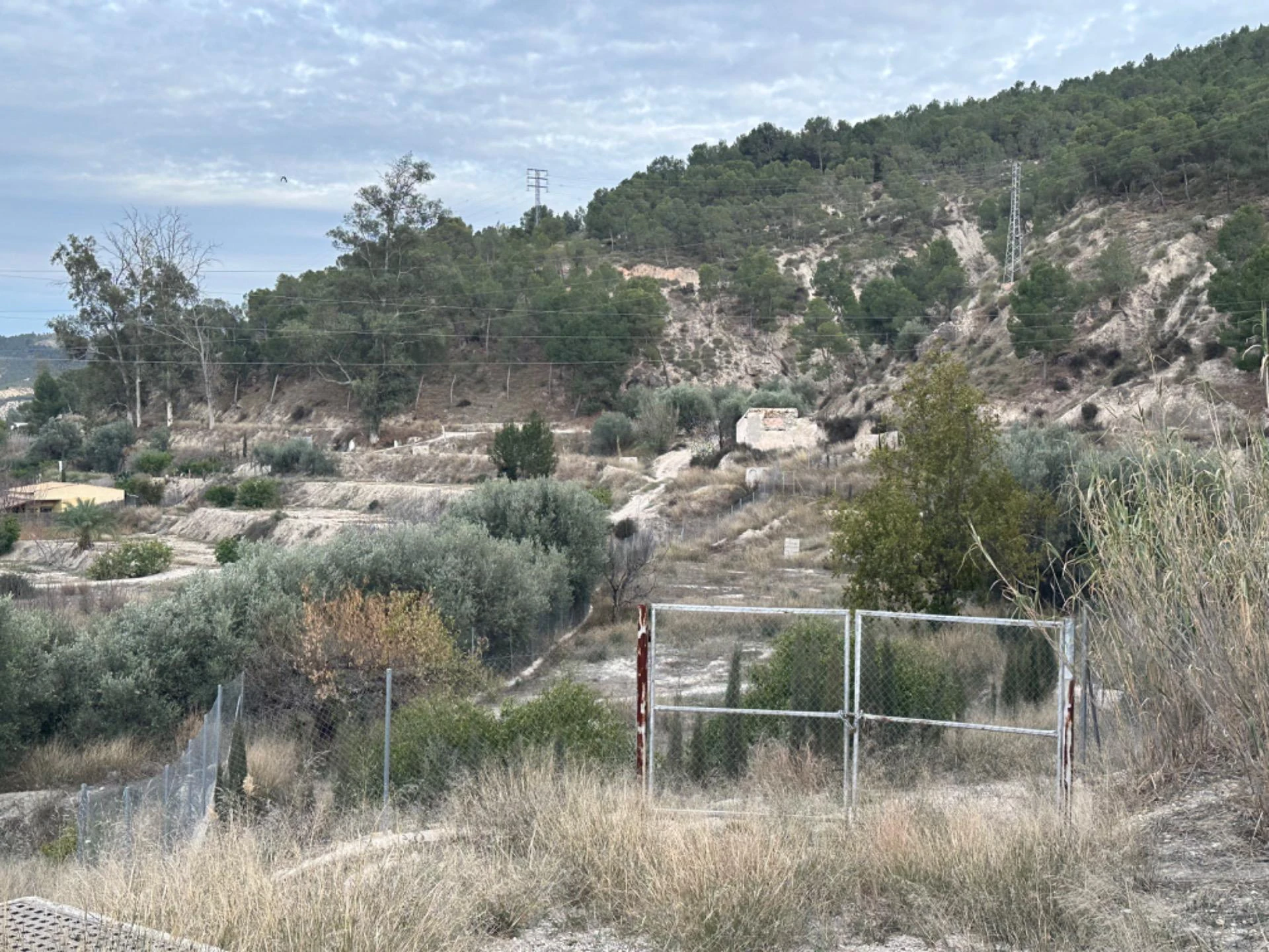 PARCELA JUNTO ATALAYA