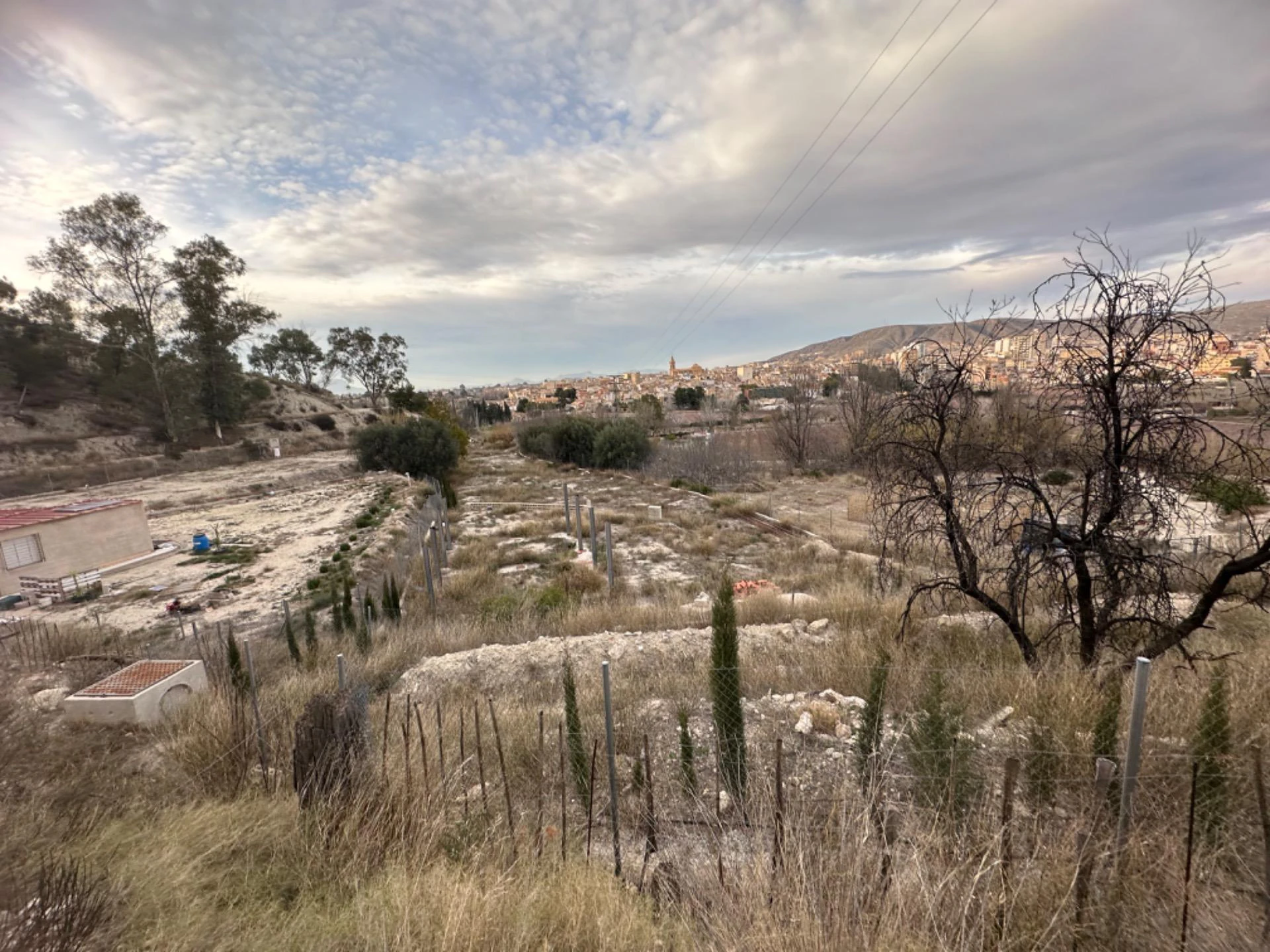 RML-01957 - PARCELA JUNTO ATALAYA