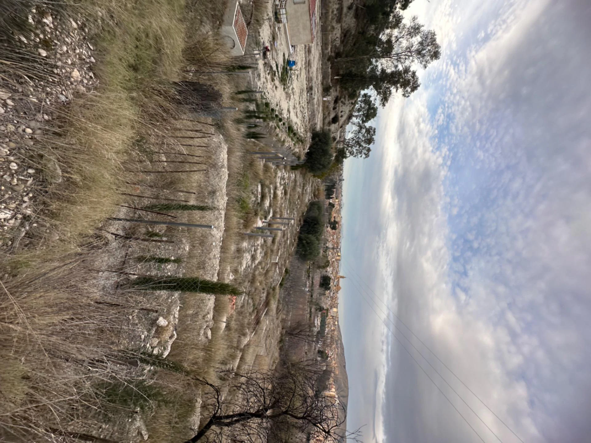 PARCELA JUNTO ATALAYA