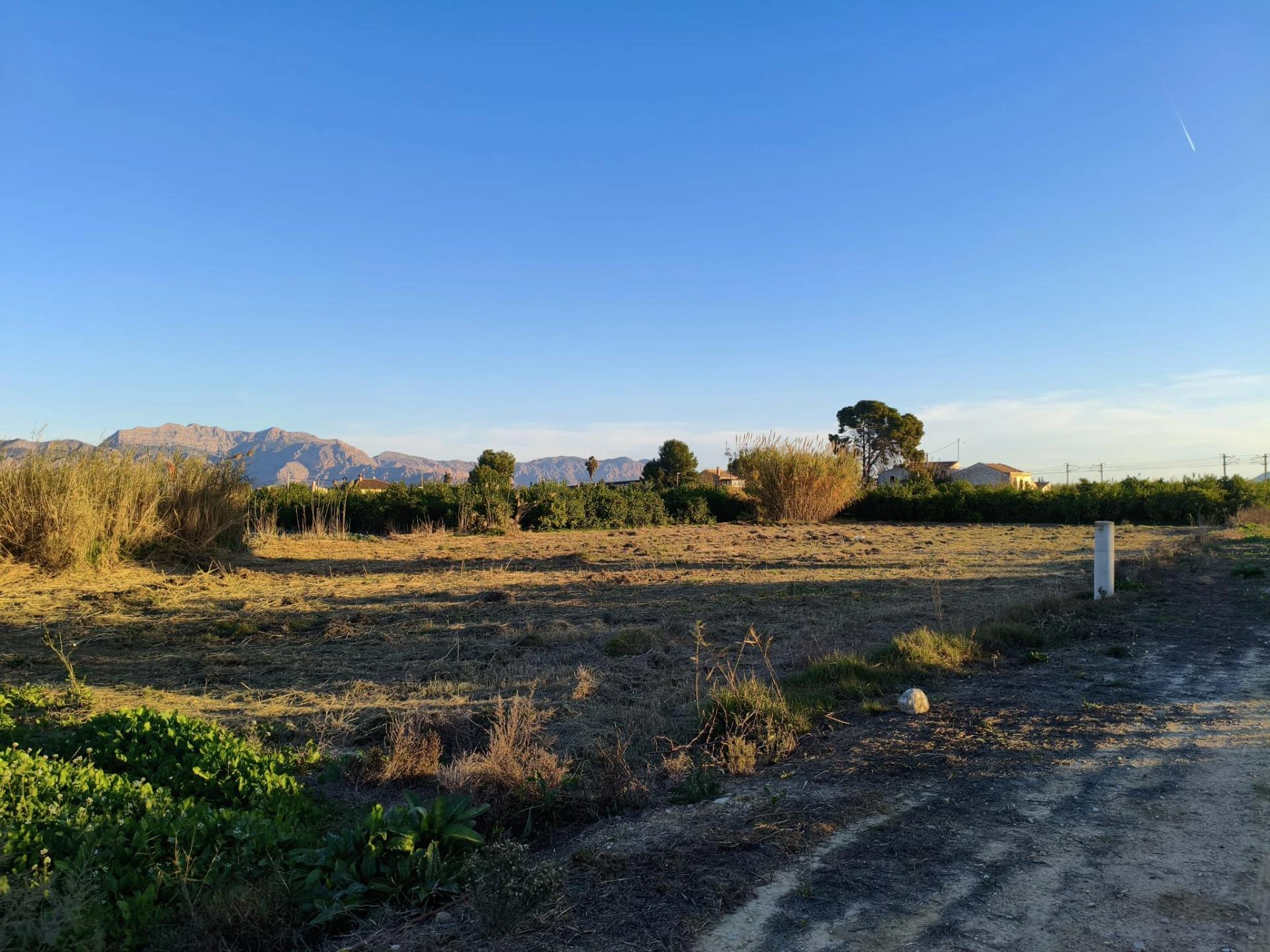 RML-02860 - 2.255 m2 Terreno en Alquerías - Oportunidad Única