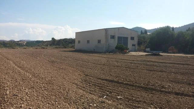 RML-01564 - TERRENO RUSTICO EN ORIHUELA TOTALMENTE VALLADO CON NAVE