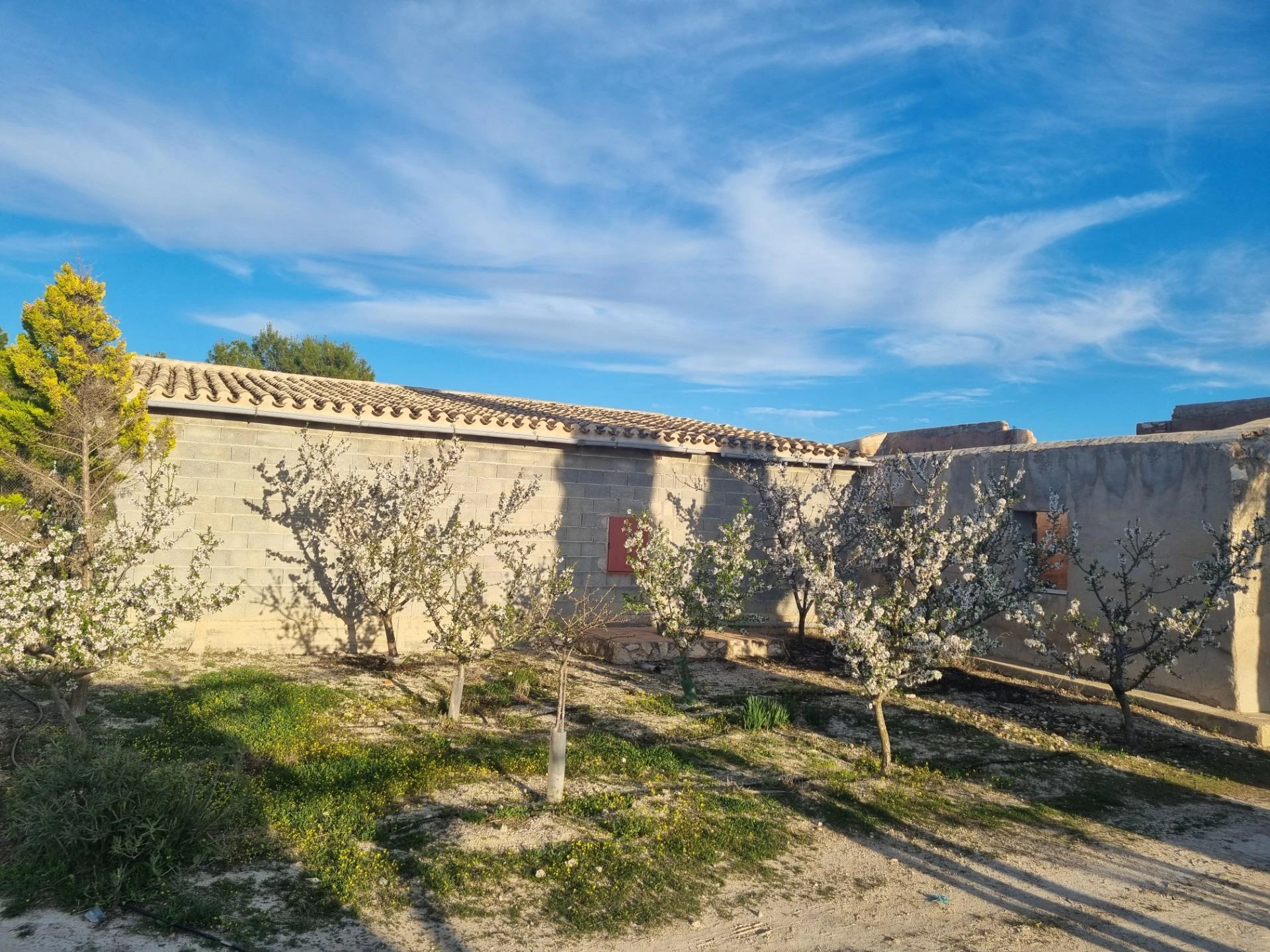 RML-03141 - Parcela con Construcción en Paraje Mingrano